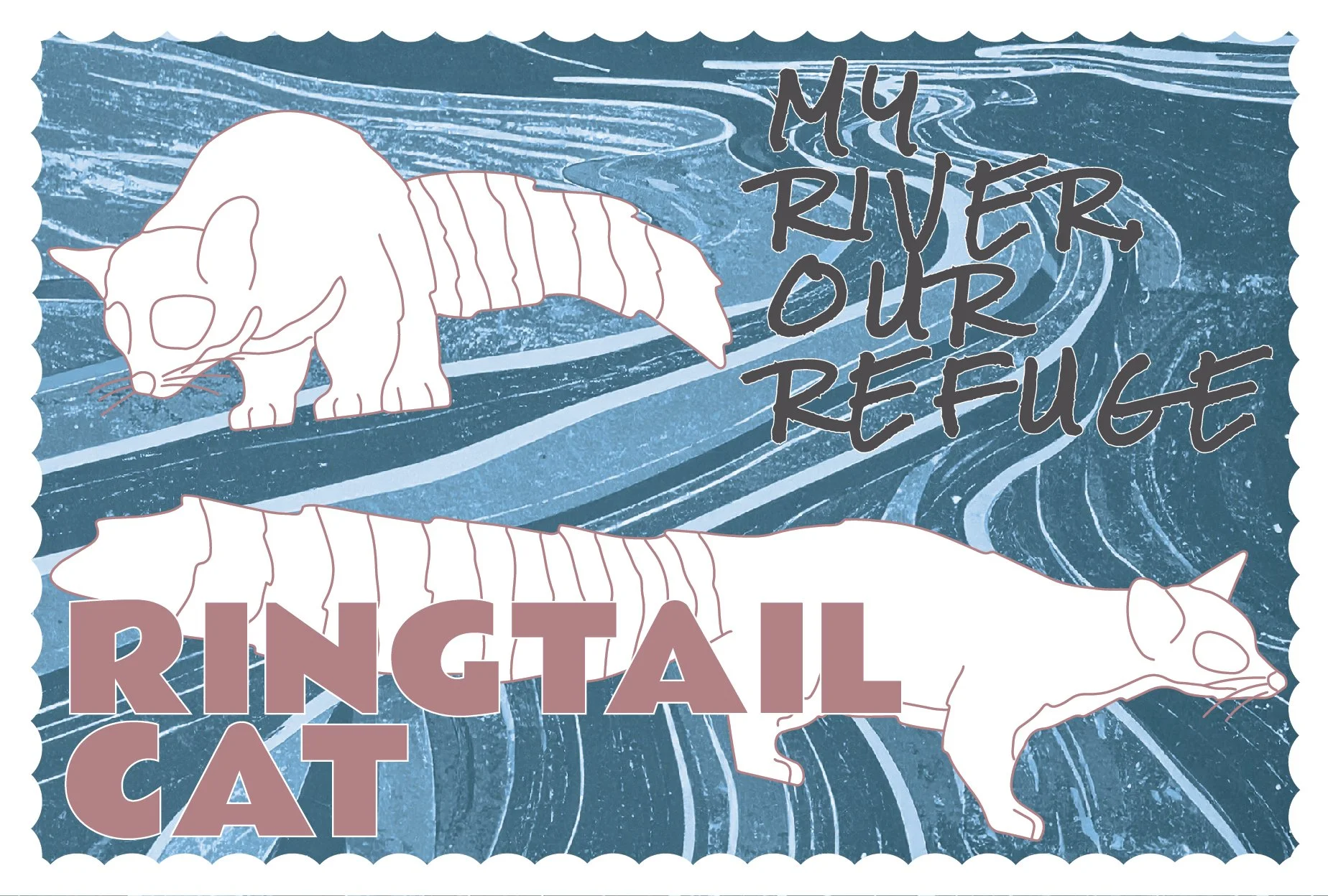 SCRefuge_Wildlife_Postcards_20260624-10.jpg