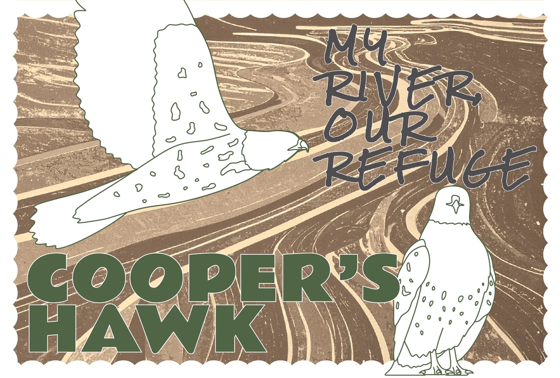 SCRefuge_Wildlife_Postcards_20260624-24.jpg