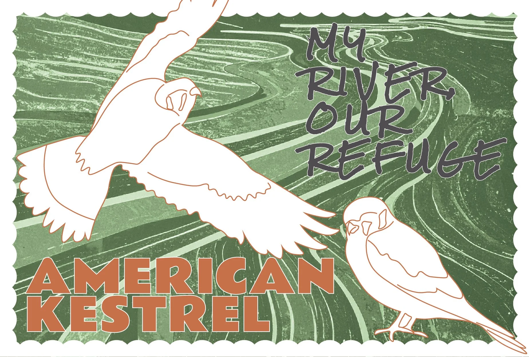 SCRefuge_Wildlife_Postcards_20260624-18.jpg