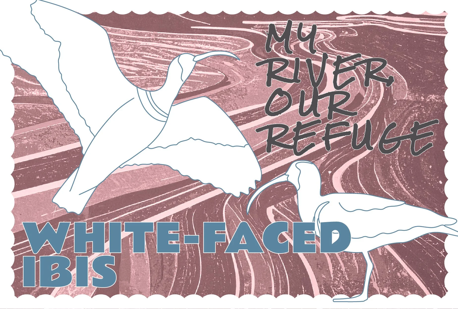 SCRefuge_Wildlife_Postcards_20260624-11.jpg