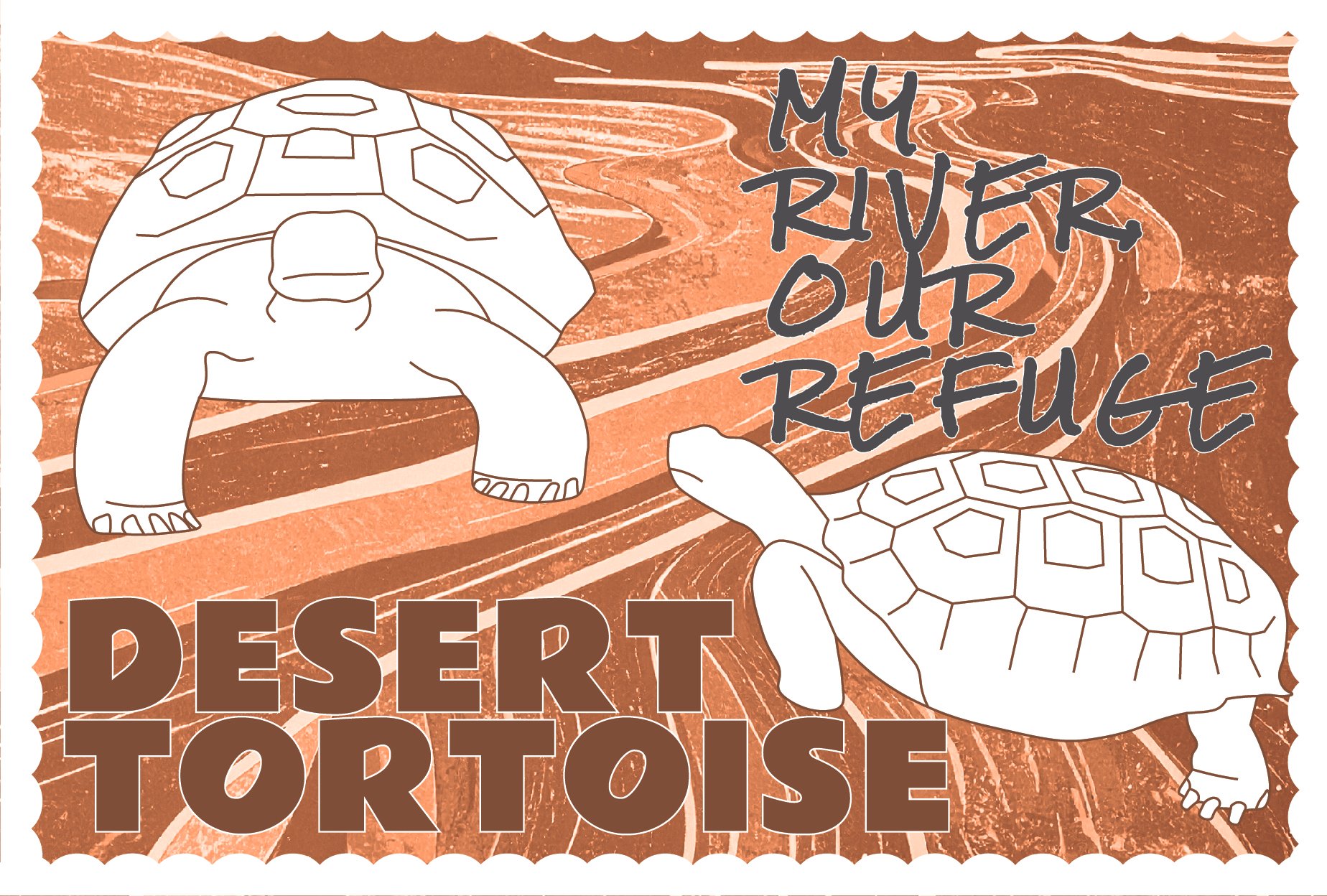 SCRefuge_Wildlife_Postcards_20260624-20.jpg
