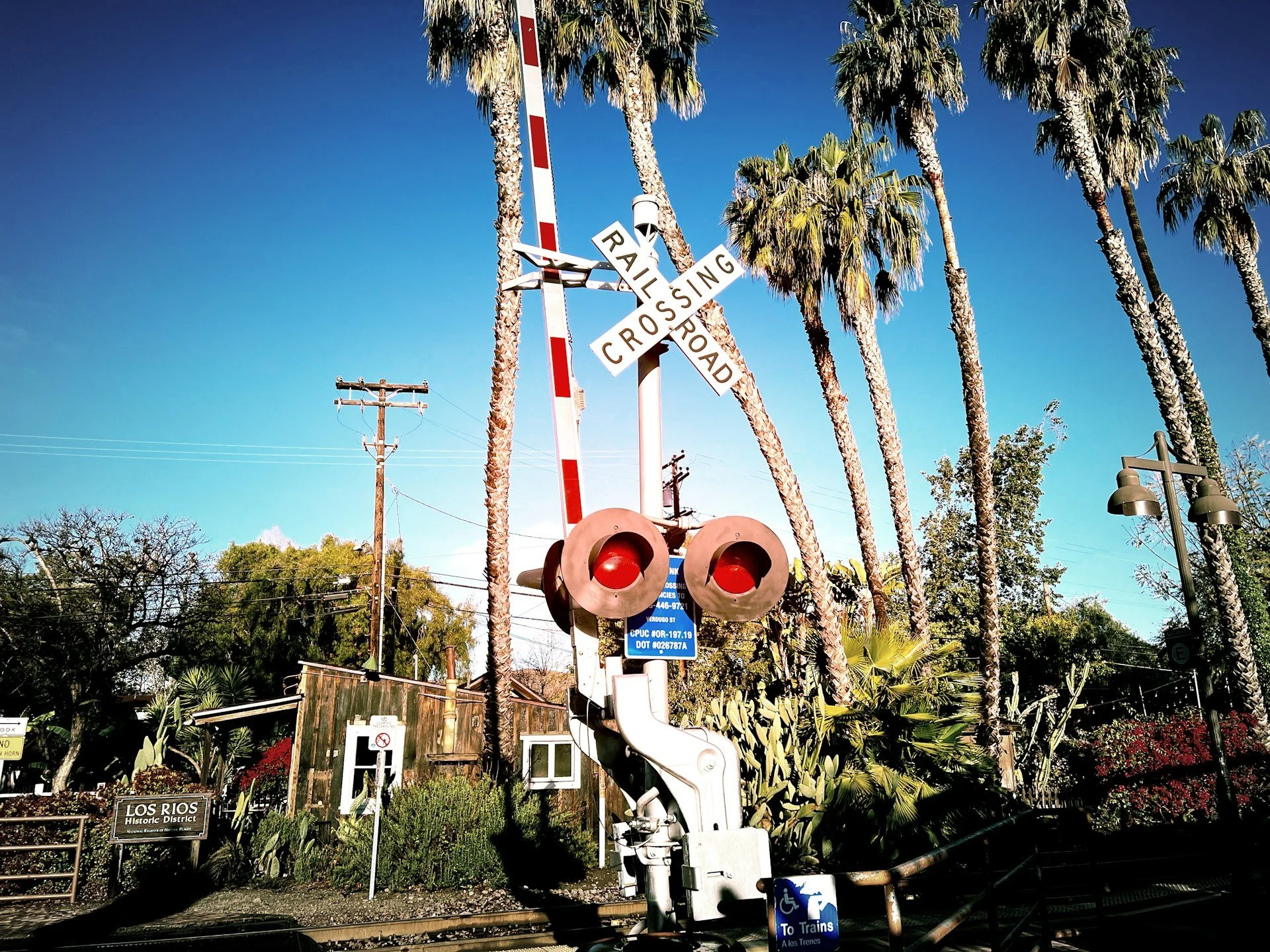 Railroad crossing in Los Rios, CA with palm trees in the background