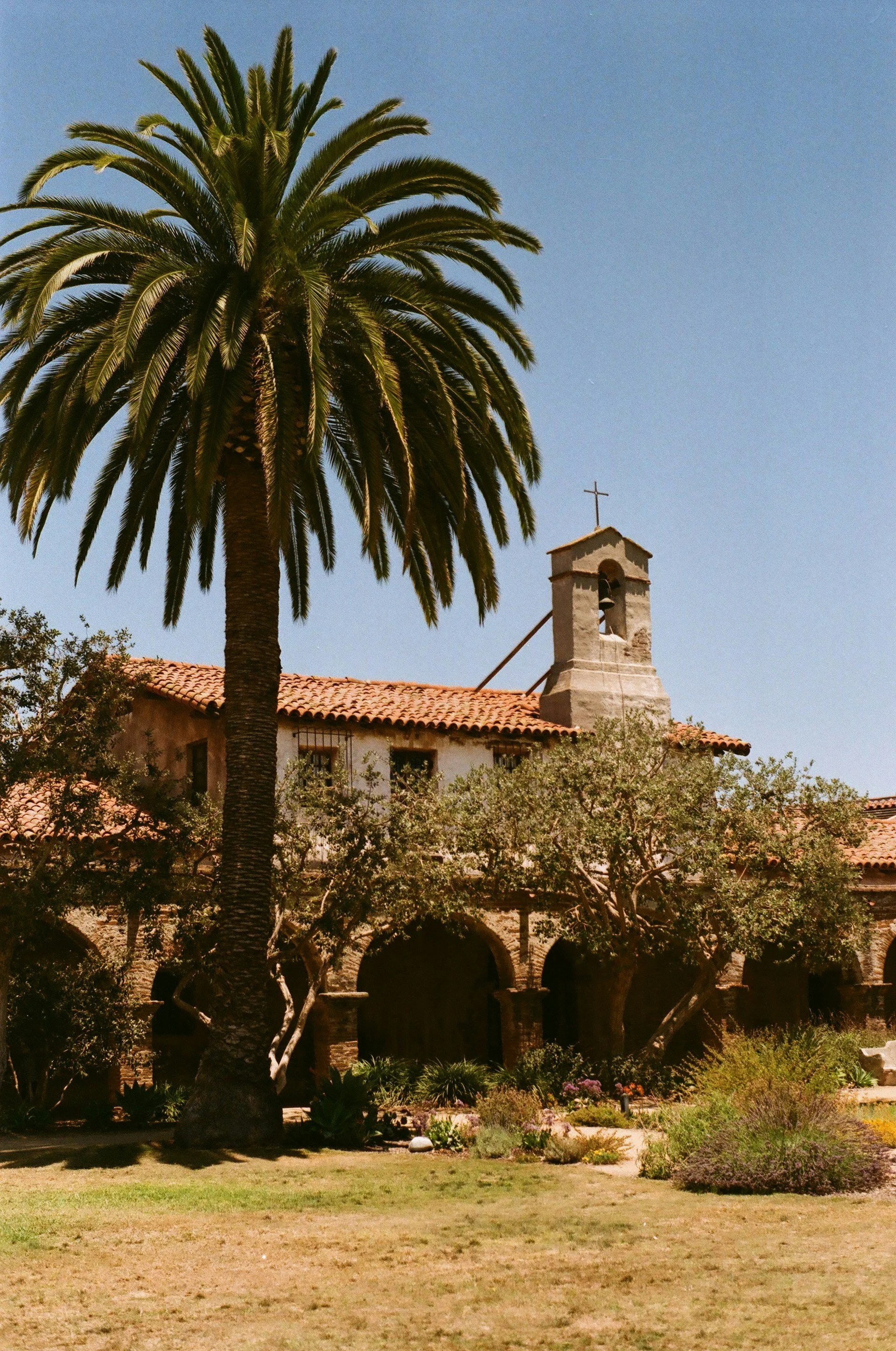 The San Juan Capistrano mission architecture against palm trees and blue skies