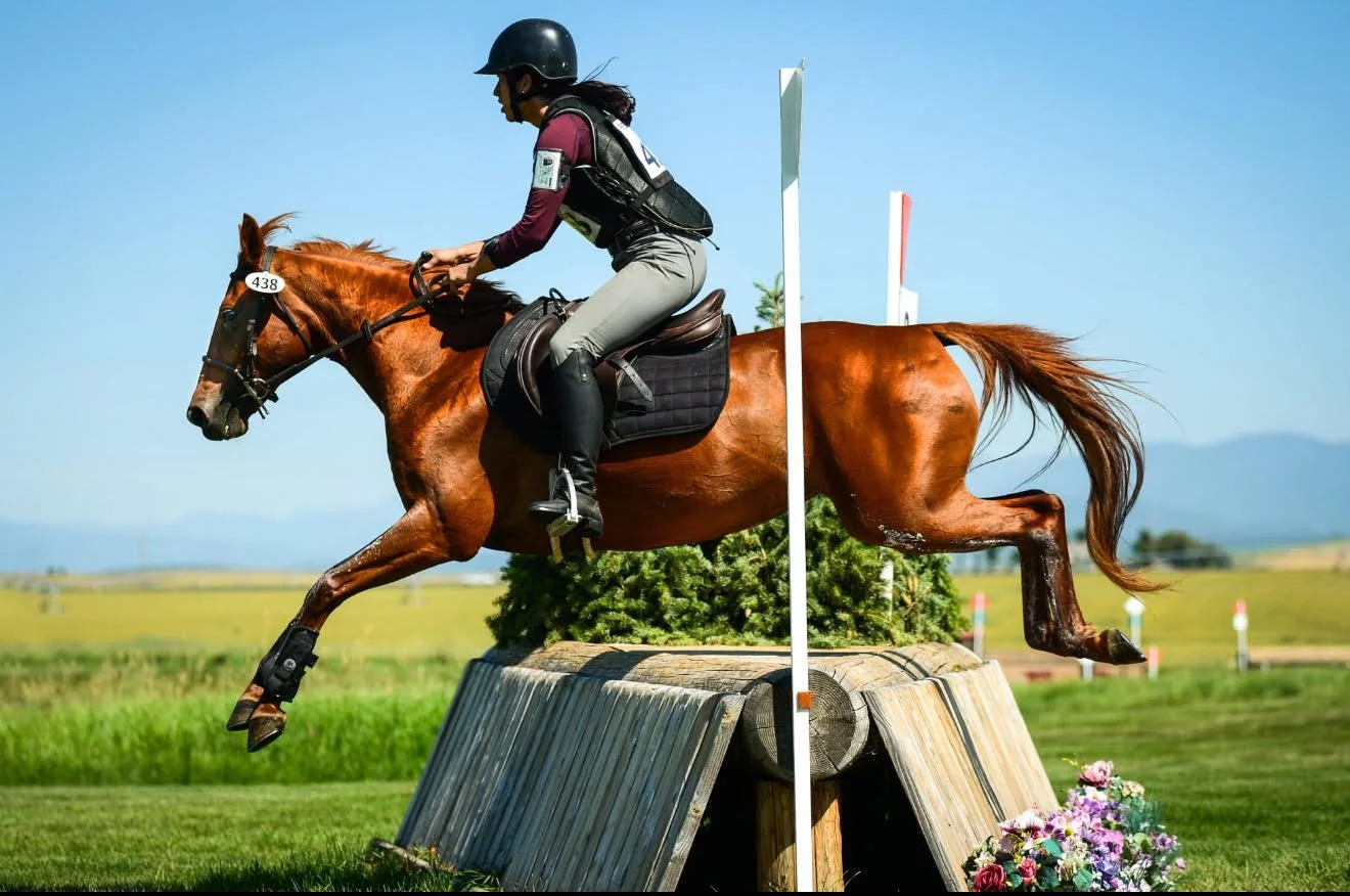 Rider jumping a horse at LHS Equine eventing and show jumping training program offering riding lessons, horse training, boarding, and rider development across Central Virginia including Charlottesville, Orange, Gordonsville, and Culpeper