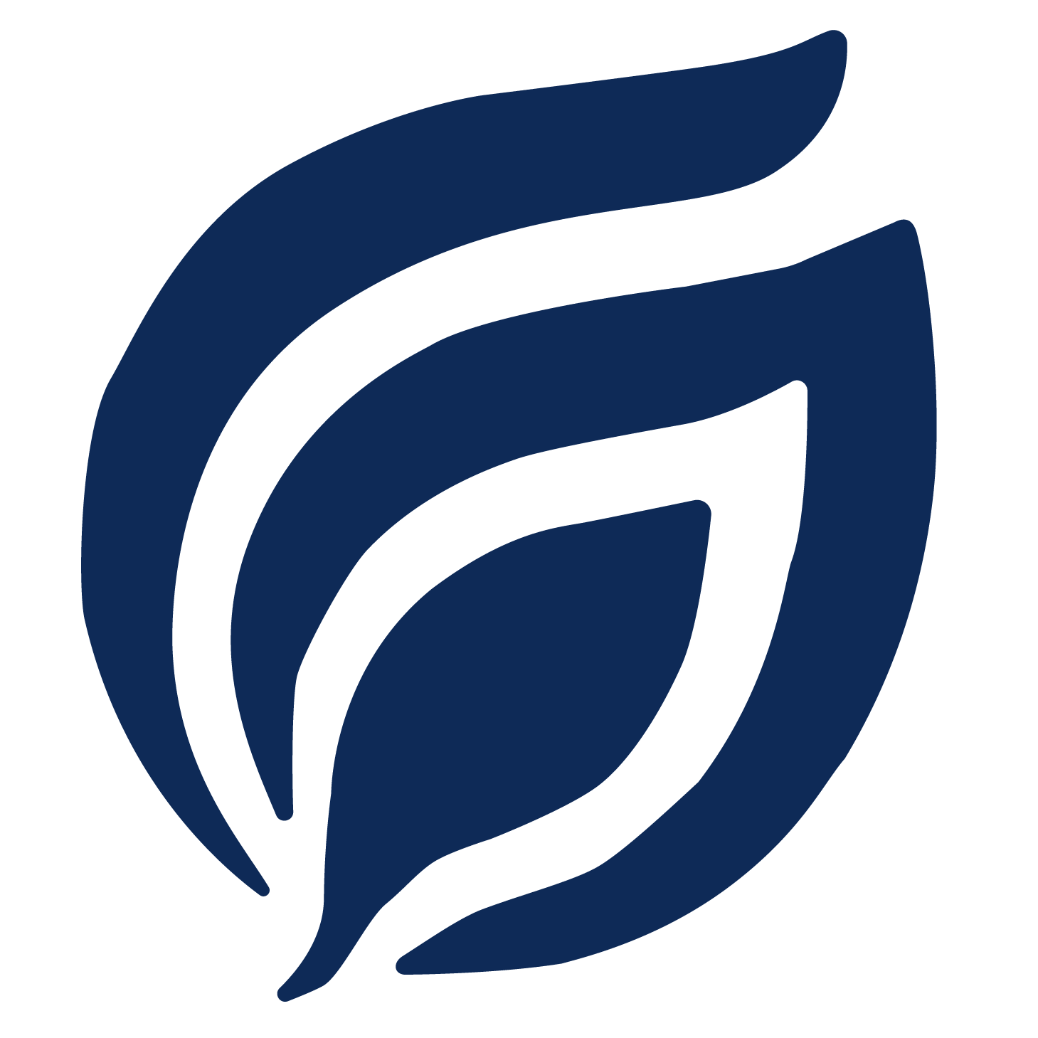 A stylized, abstract image of a rose in dark blue and black colors.