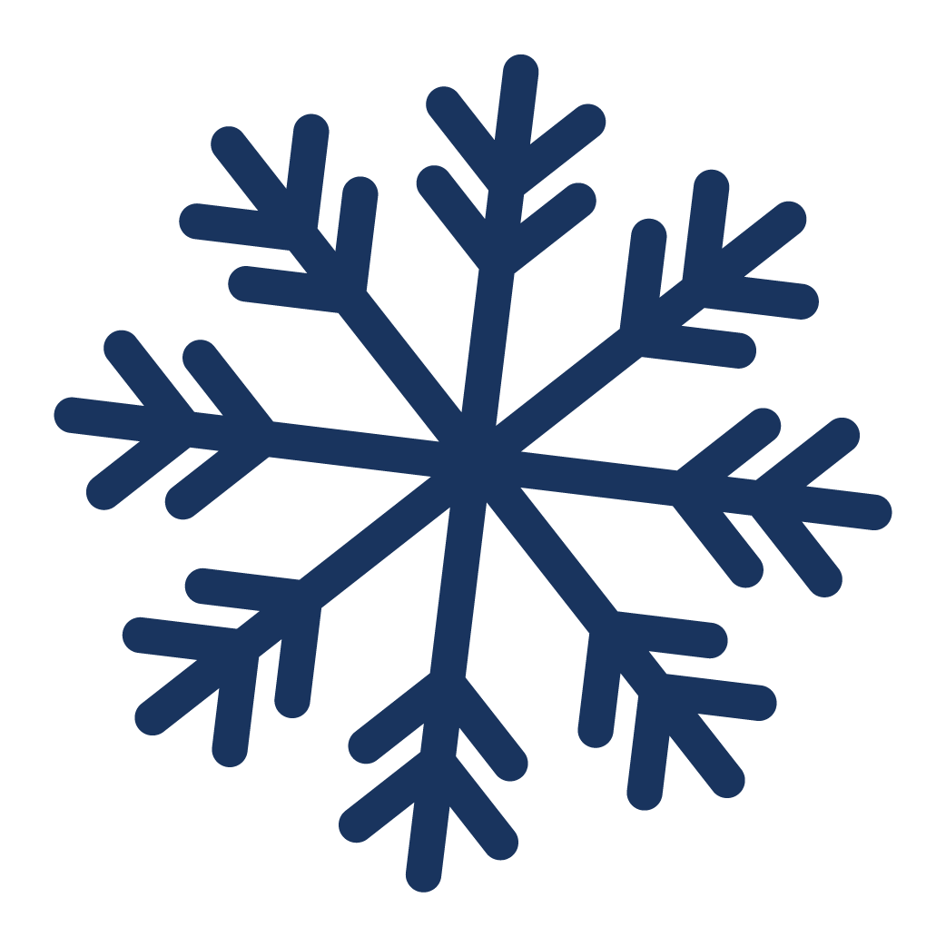 A dark blue snowflake with six symmetrical branches.