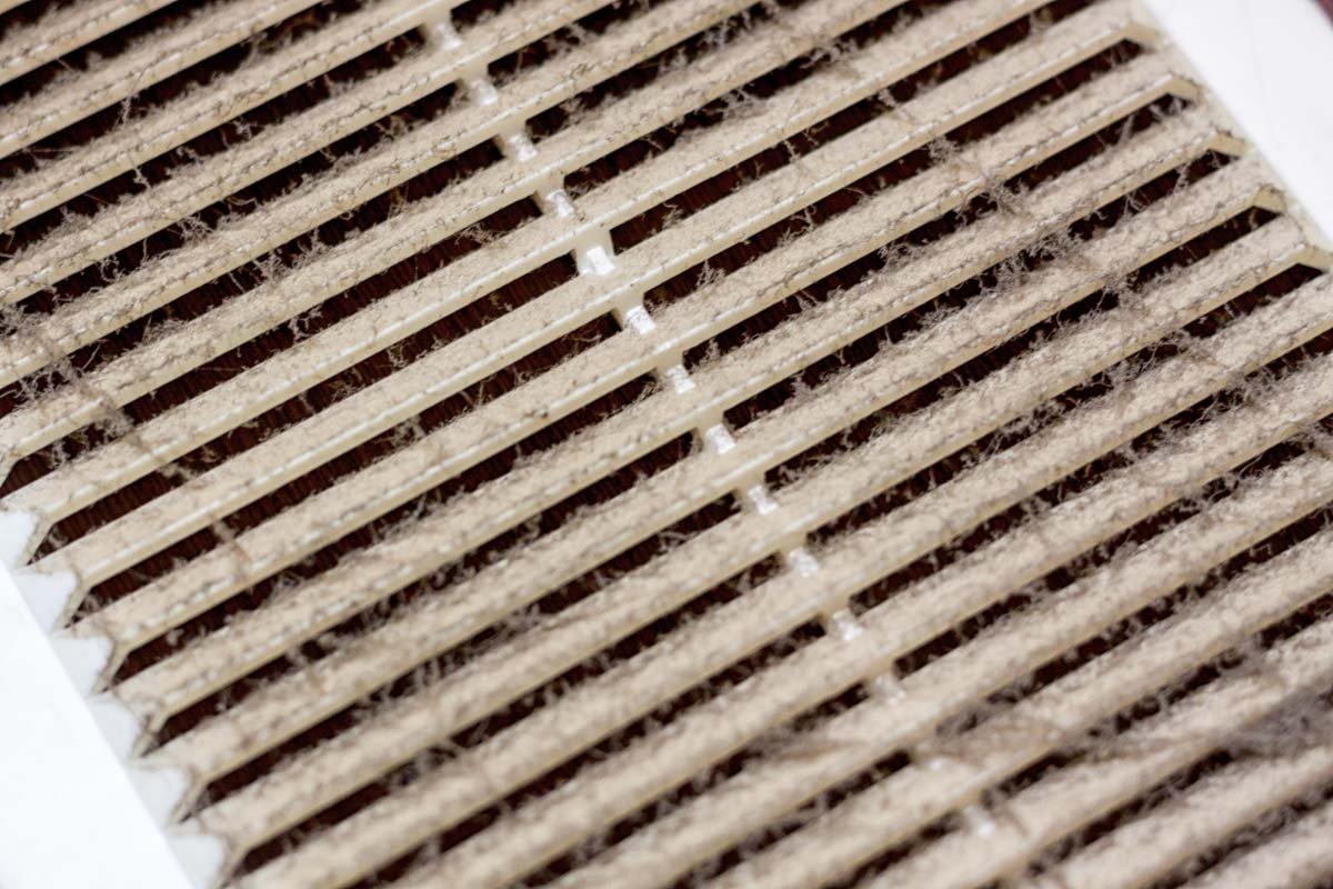 What’s Hiding In Your Air Ducts? 
