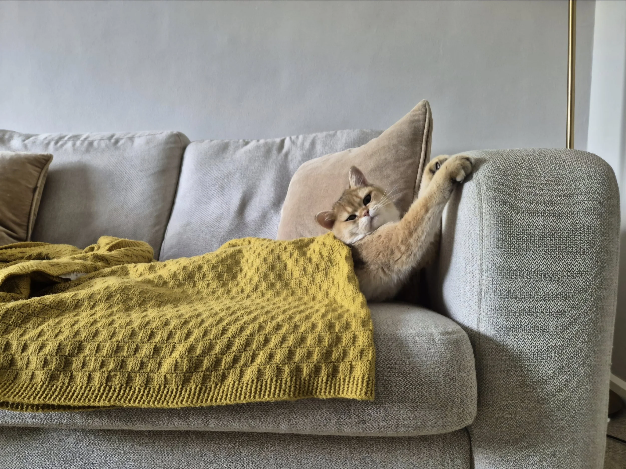 A beige and light gray sofa with a yellow textured blanket draped over the armrest and a light brown cushion. A ginger tabby cat is lounging on the right side of the sofa, resting partially on the blanket with its front paws extended and facial expression relaxed.