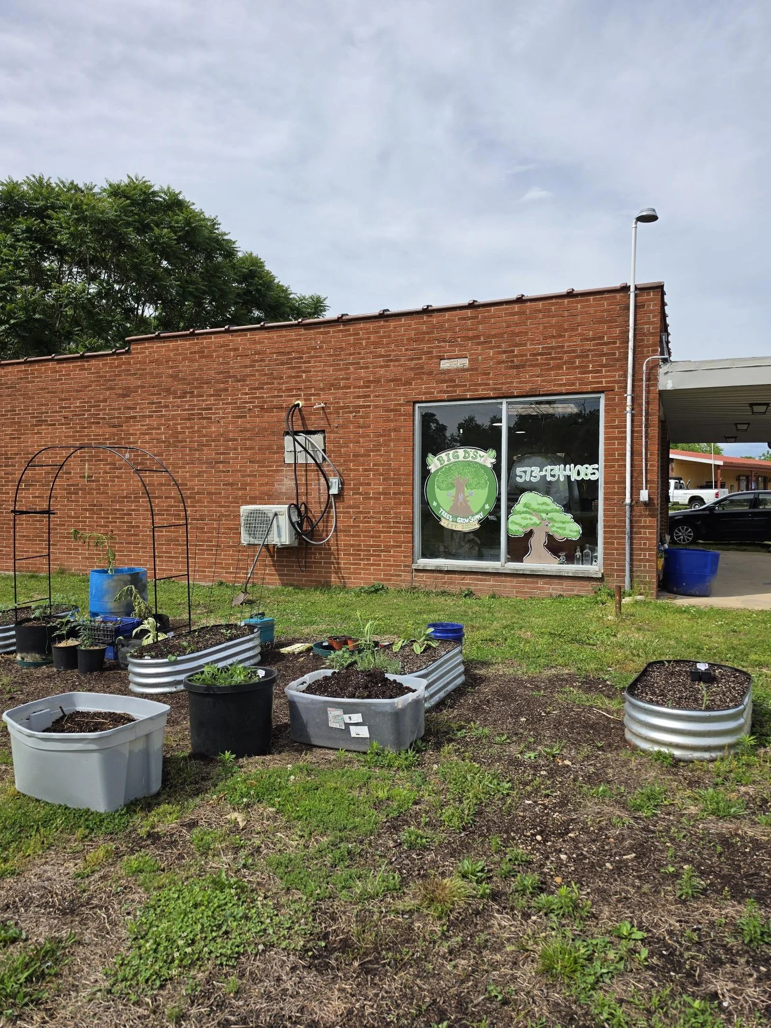 Small urban garden with various pots of plants, metal garden beds, and a brick building with a window displaying a tree logo for a tree and grow supply business. There is a street lamp and a parking lot in the background.
