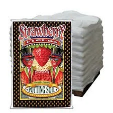 Strawberry Fields potting soil