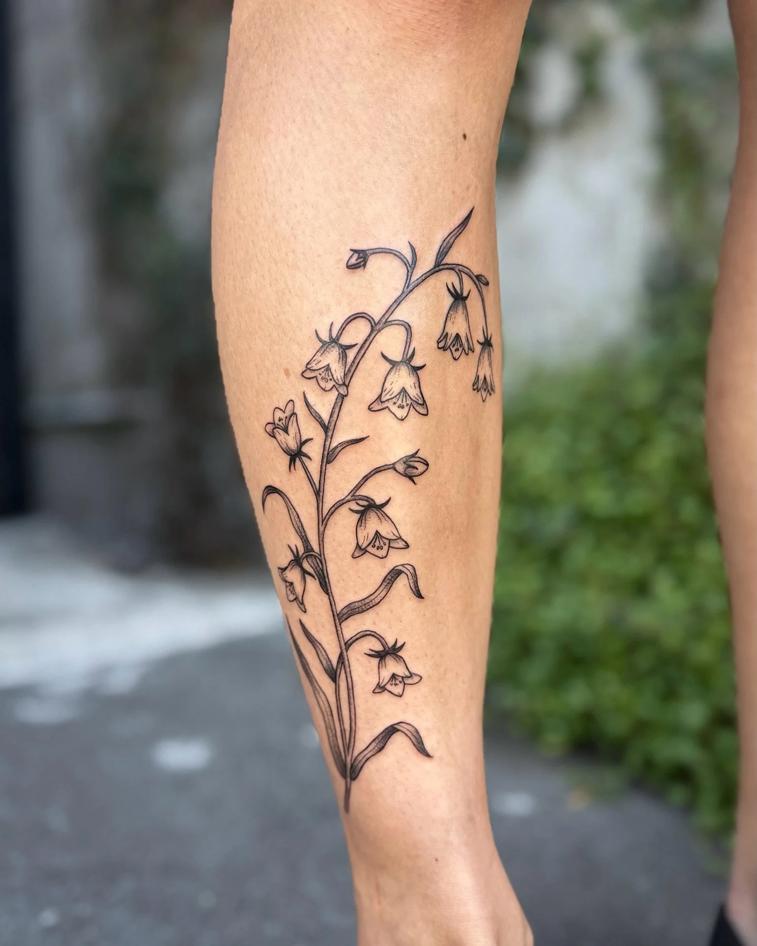 Custom Campanula Bellflower for Konane
Made at @twicerabbittattoo 

I am loving floral tattoos of late. Would love to do more!
Books are open for June and July in Los Angeles. Booking link in my bio. Let&rsquo;s make more pretty plants and flowers 🌸