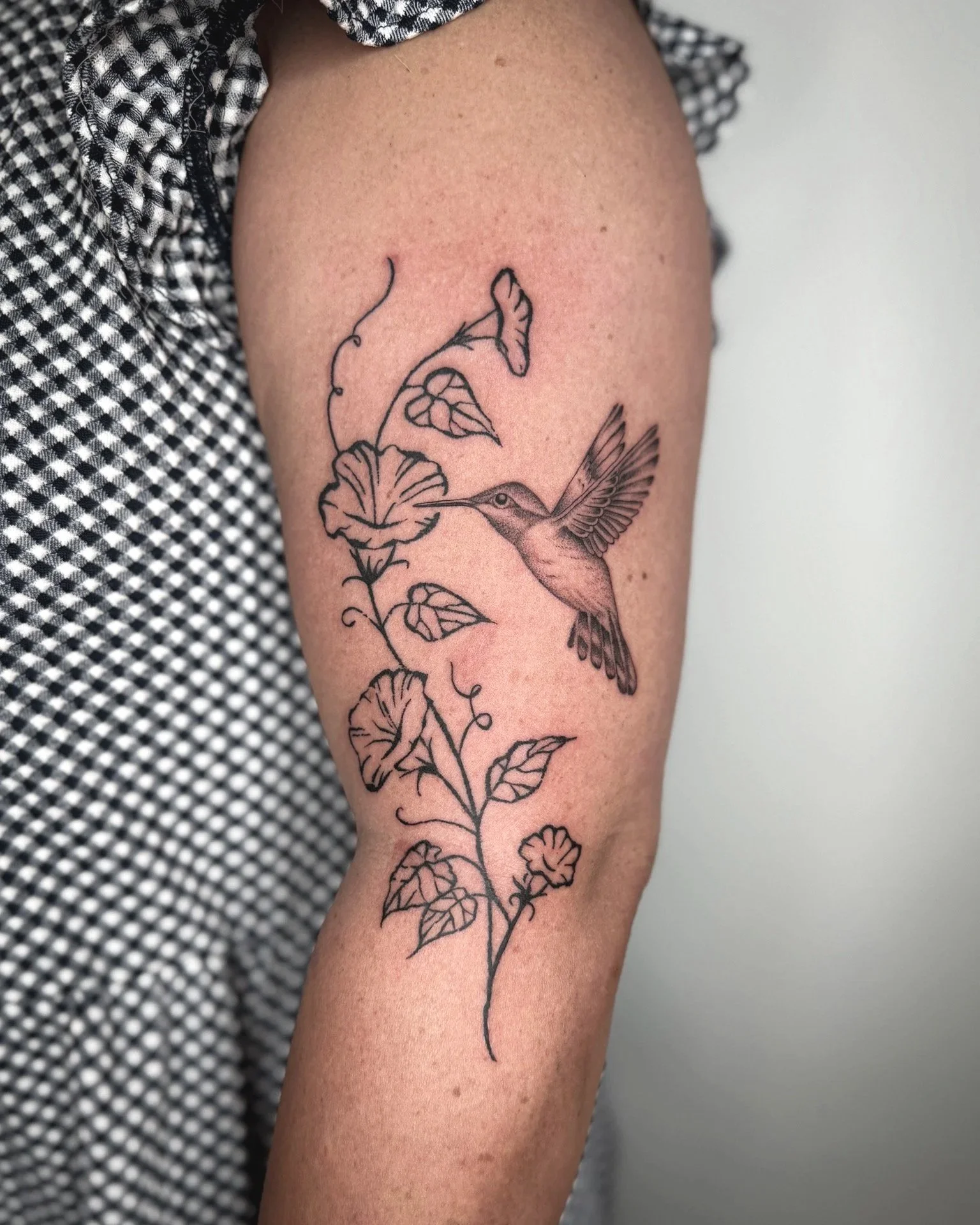 hummingbird.jpg