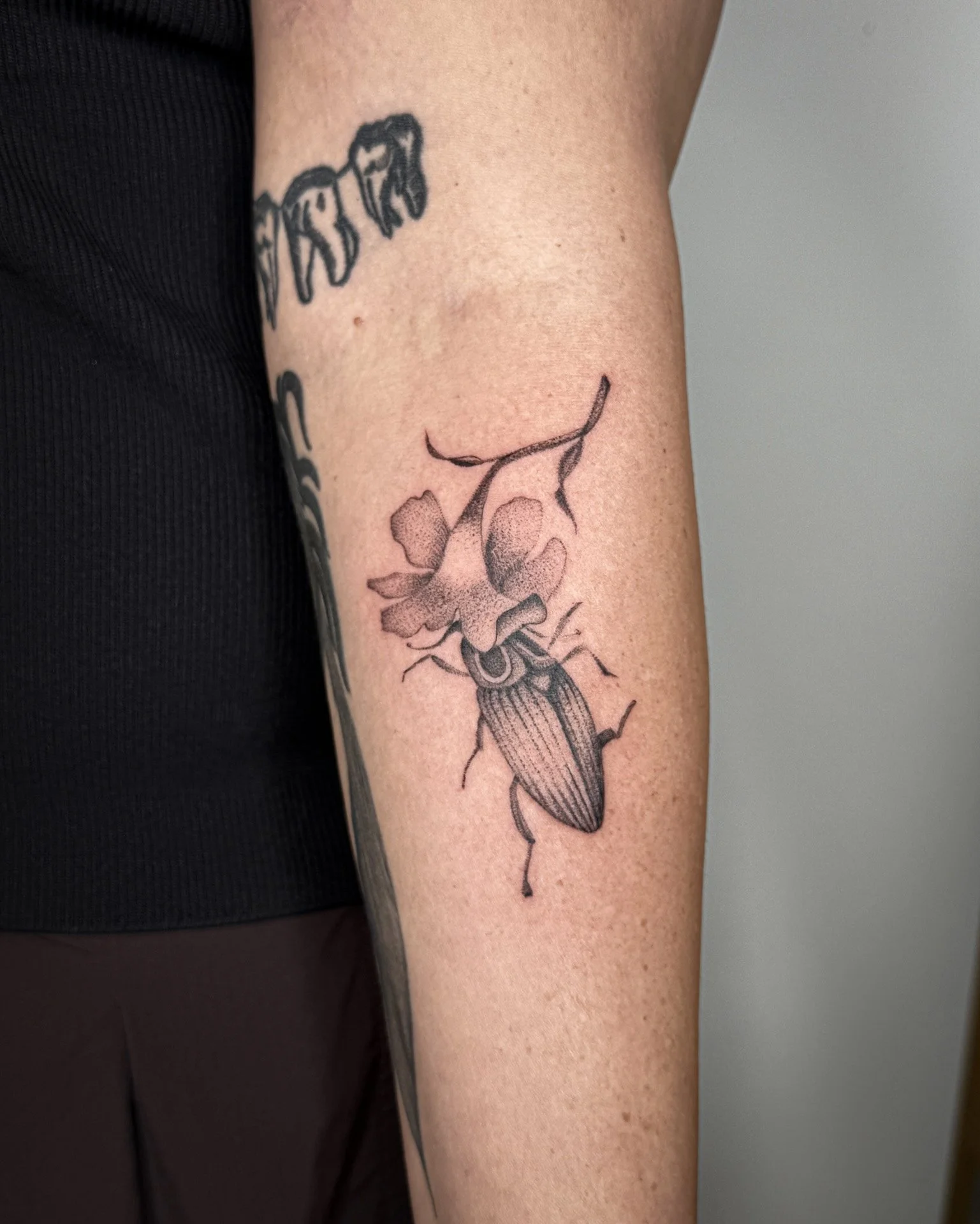BBDA89EA-DF45-4588-8CEE-1F51CCC69D57.jpg