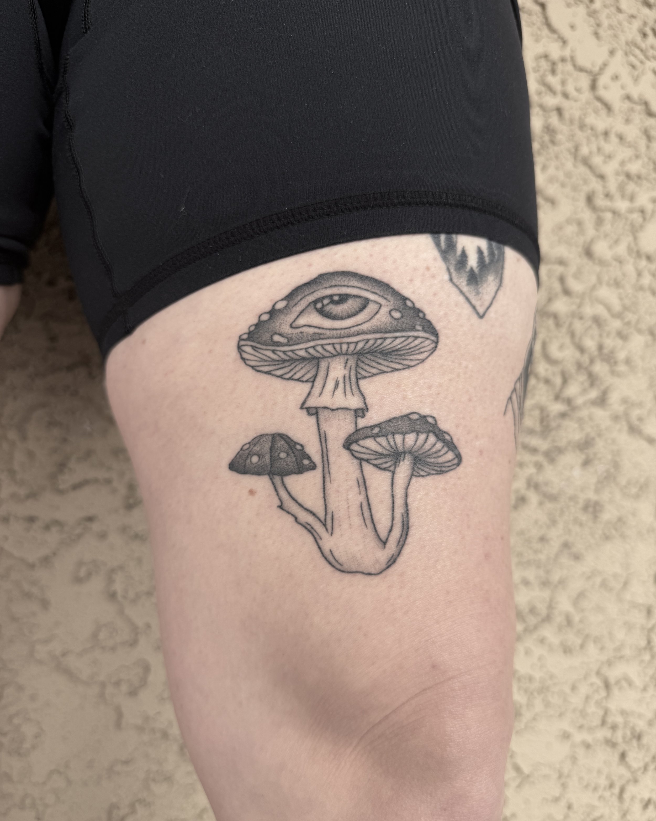 mushroom.jpg