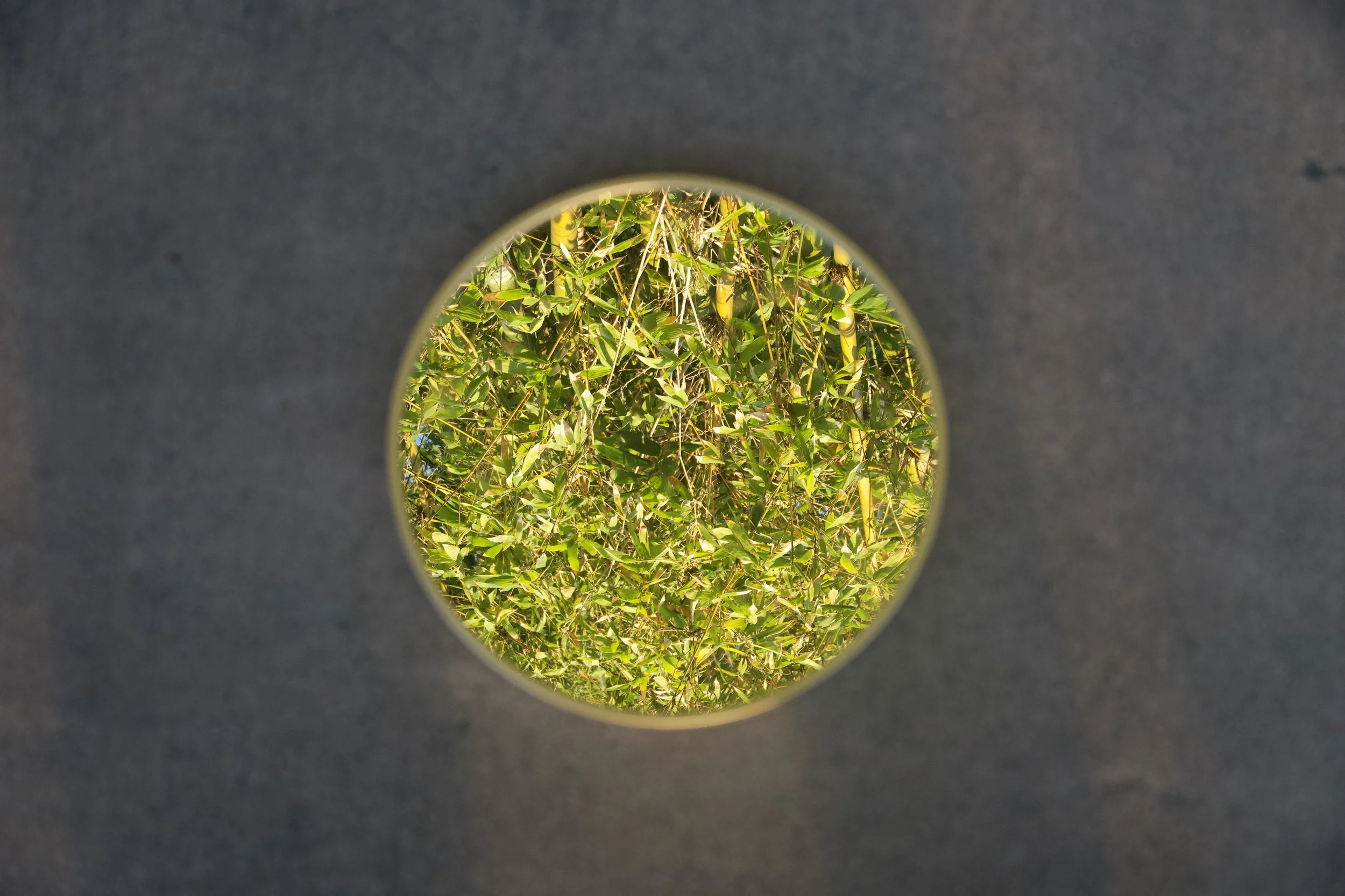 Environmental and nature concept shoots for wellness, lifestyle, and sustainability brands.