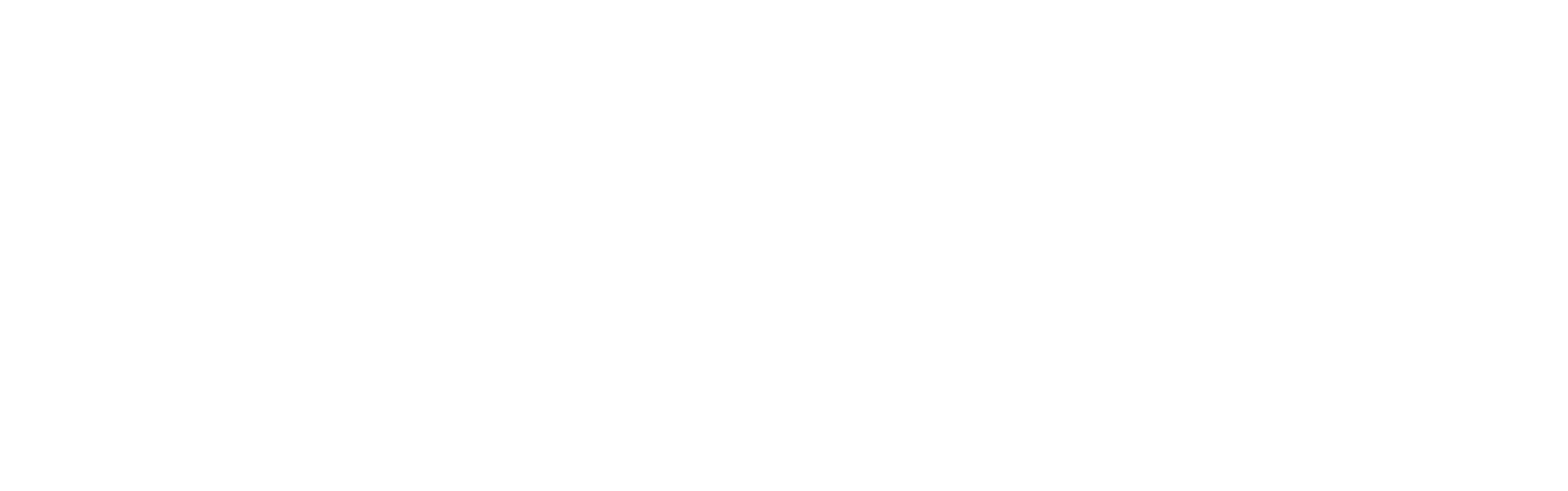 Arya Portfolio