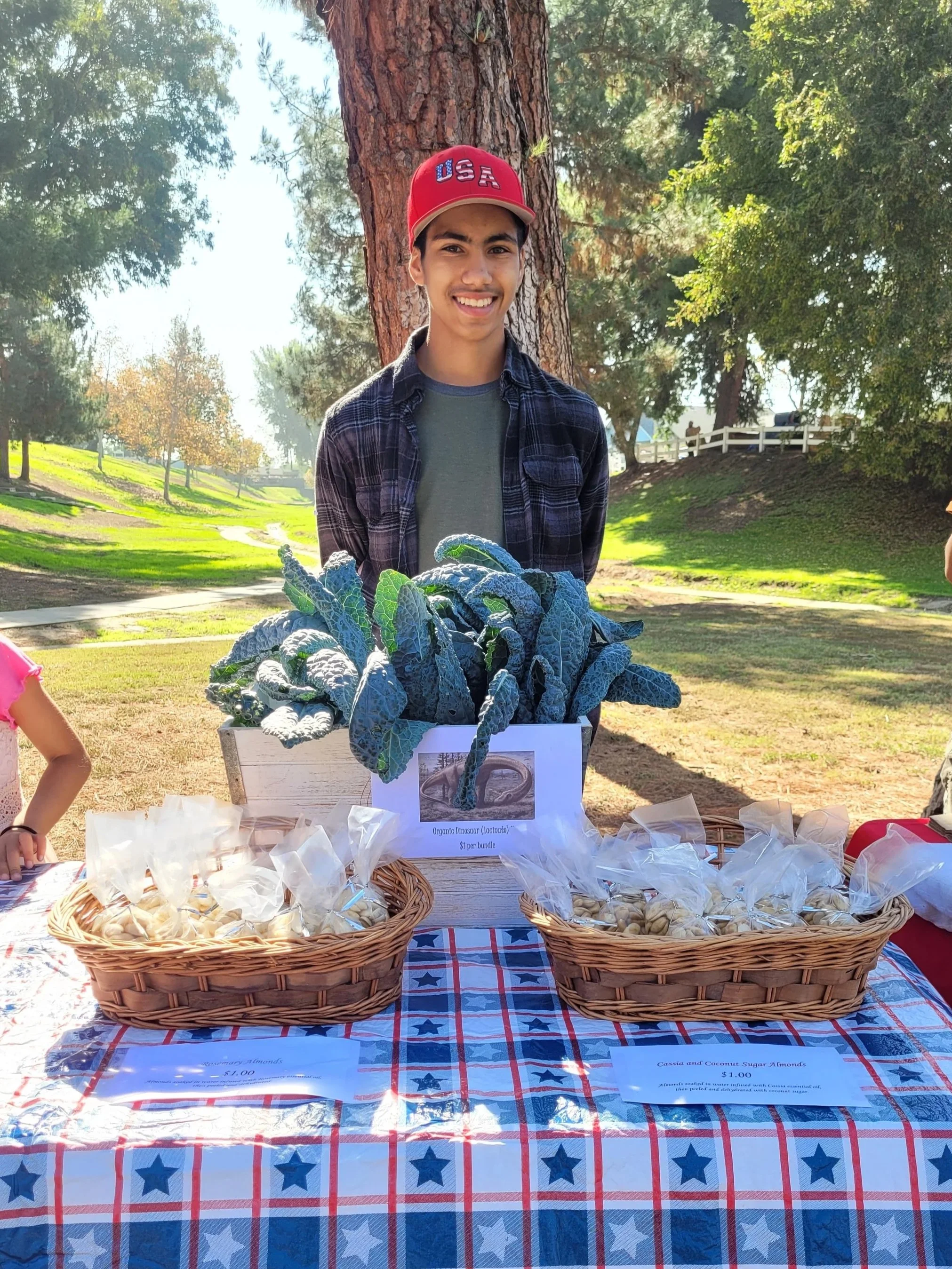 A young man stands behind a table of homemade almond and coconut sugar almonds at an outdoor fair or market. The table is covered with a red, white, and blue star-patterned cloth, and there are baskets with wrapped almond treats labeled with prices. The young man is smiling, wearing a red baseball cap with 'USA' on it, and a dark plaid shirt. Tall trees and bright sunlight are visible in the background.