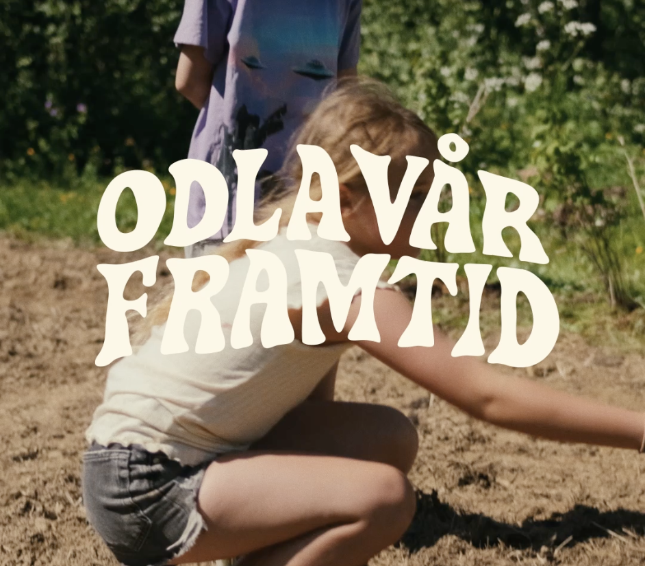 Skärmavbild 2026-08-31 kl. 12.46.44.png
