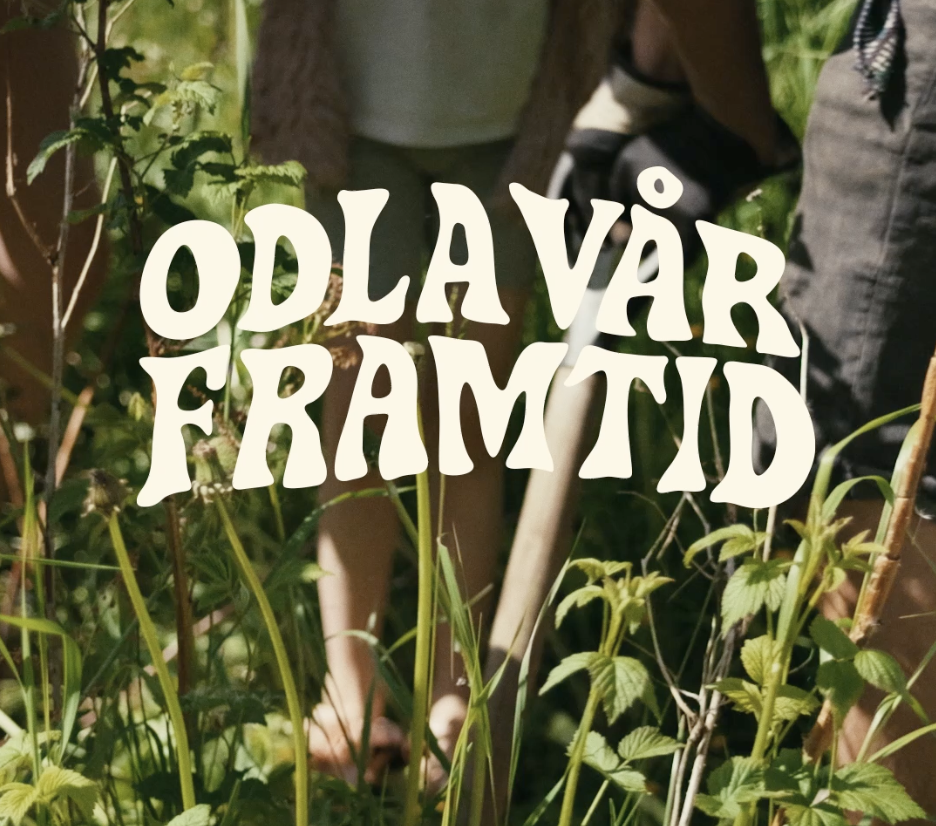 Skärmavbild 2026-08-31 kl. 12.47.59.png
