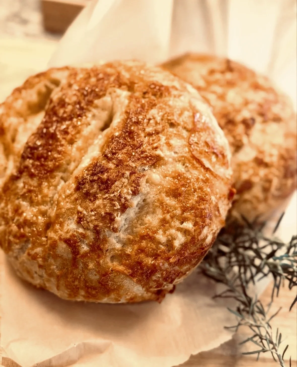 Italian Herb &amp; Parmesan Bread