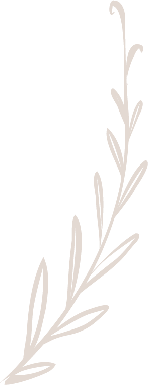 A simple illustration of a sprig of rosemary with elongated leaves.