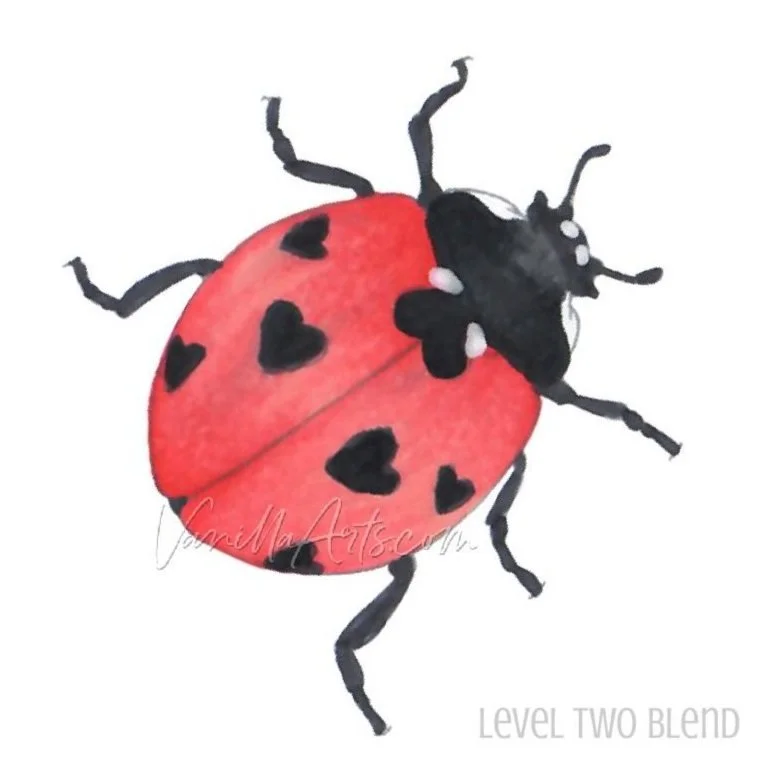 Learn to blend Copic alcohol markers in The Blend, a 12 week online course. Techniques without distraction to master this essential skill. Beginners + hesitant intermediates. | VanillaArts.com