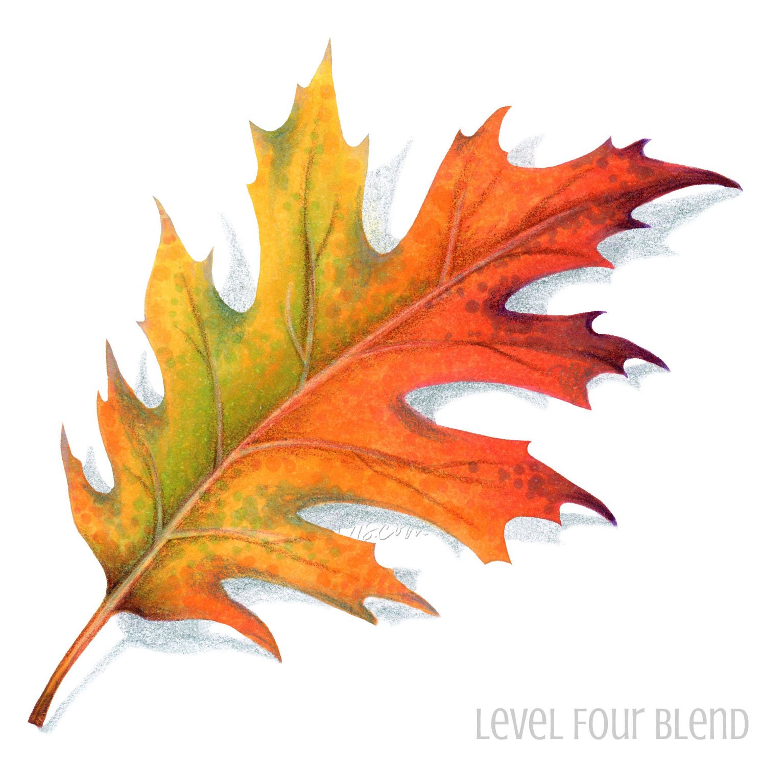 Learn to blend Copic alcohol markers in The Blend, a 12 week online course. Techniques without distraction to master this essential skill. Beginners + hesitant intermediates. | VanillaArts.com