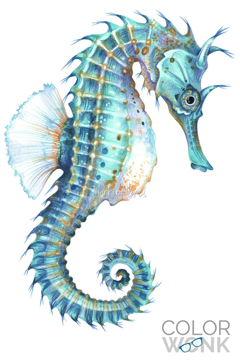 Blue-green seahorse illustration using alcohol marker and colored pencil. Learn Realistic Coloring With Color Wonk