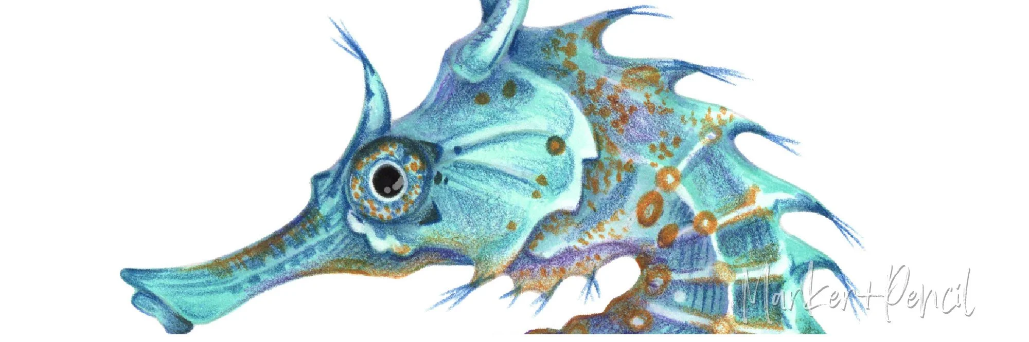 Closeup detail of "Seahorse" marker and colored pencil illustration. Learn why skills are more important than completed projects.