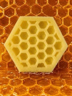 Honey Bee