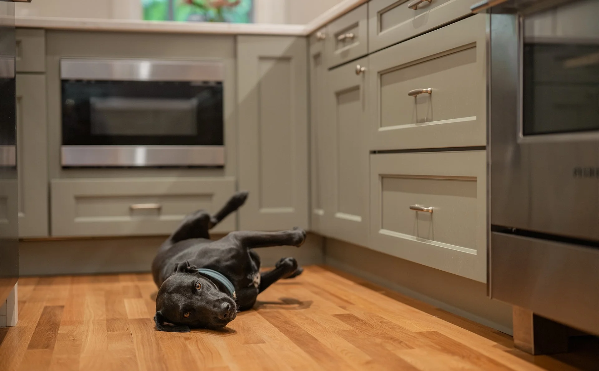  Details, Hardware, Cabinets, Interior 