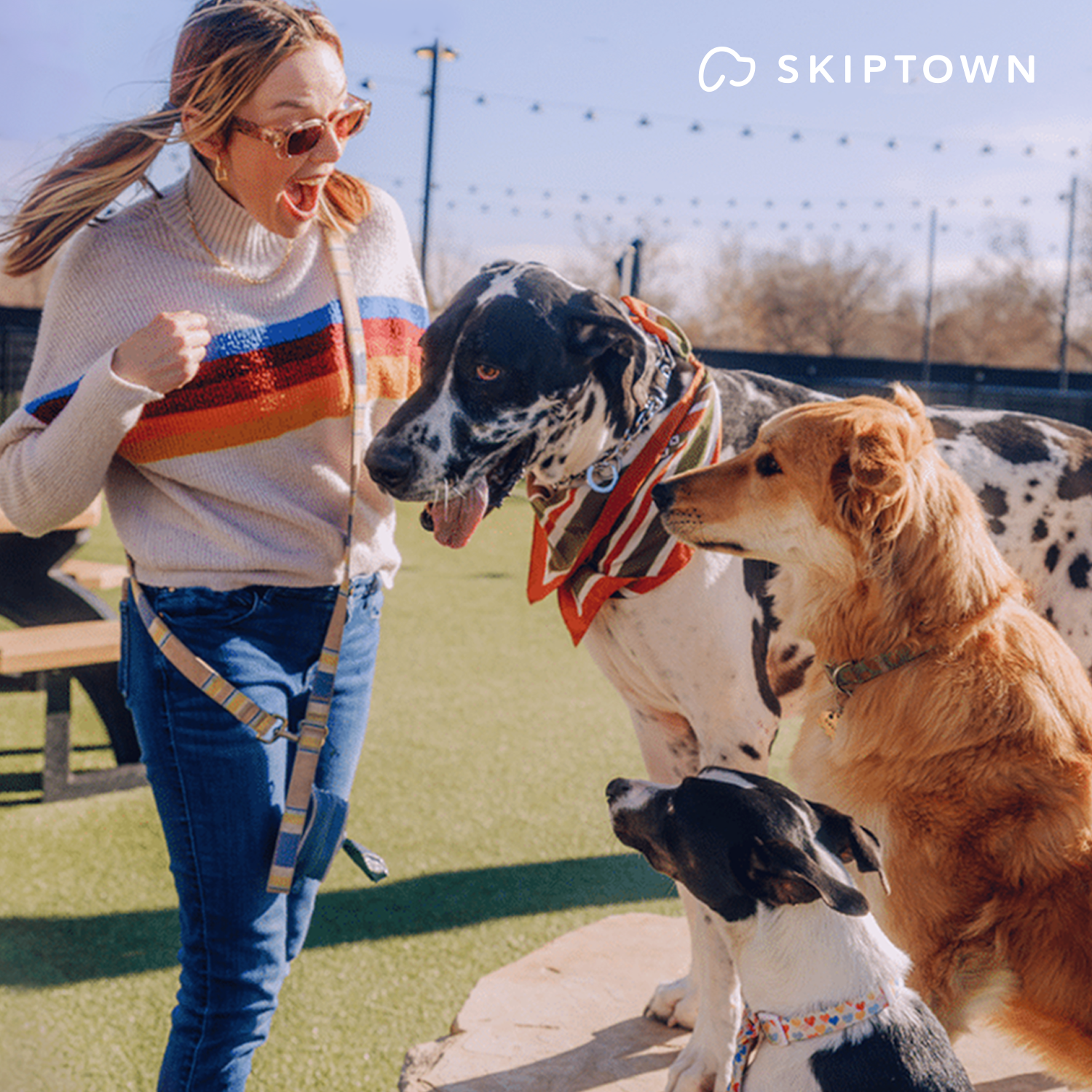 Skiptown Franchise Development Campaign