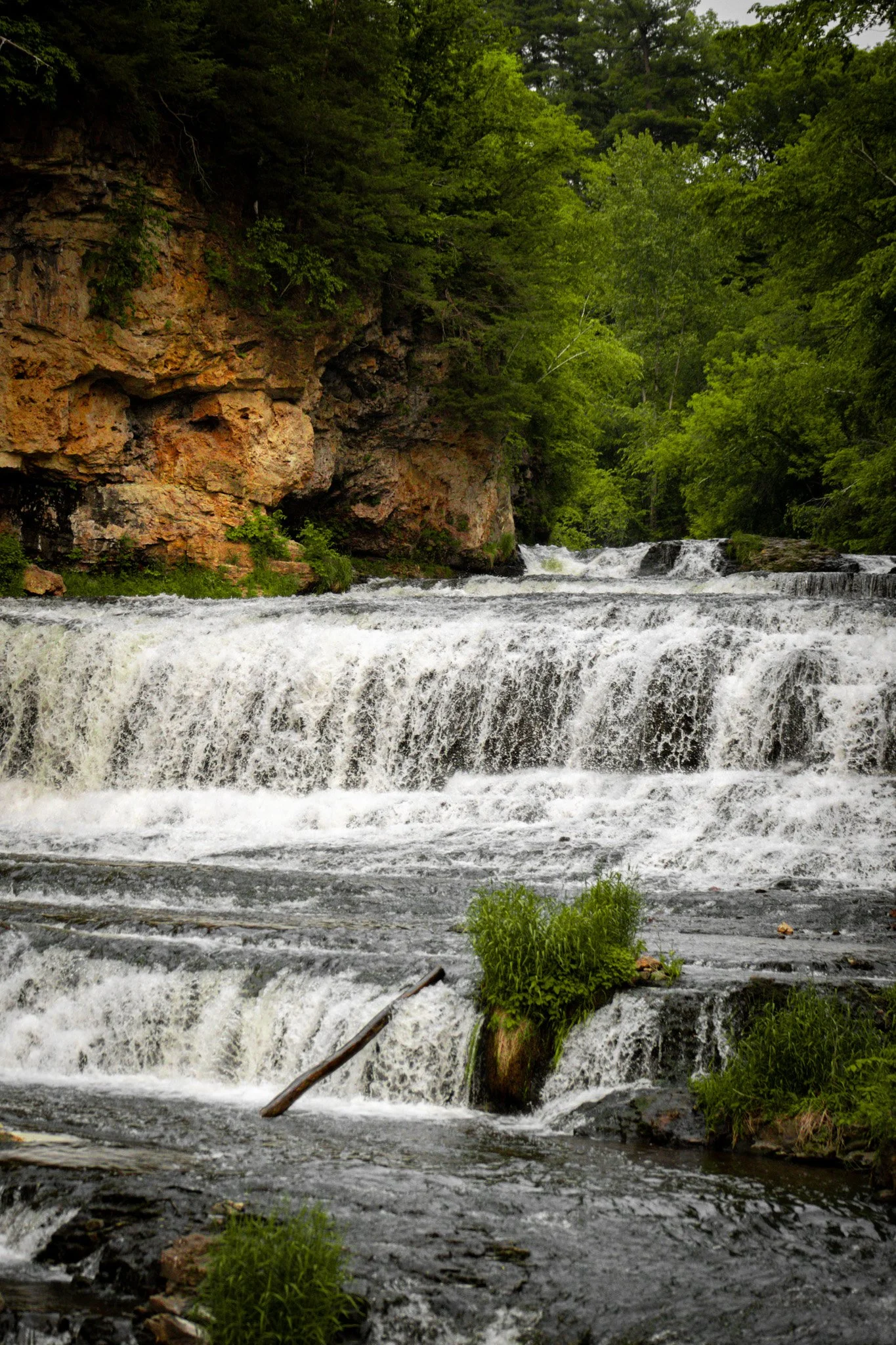 A flowing river cascading over rocks in a forest with green trees and shrubs.
