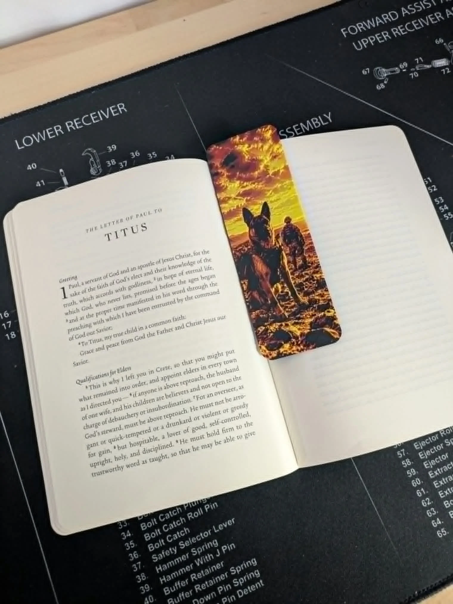 in book.jpg
