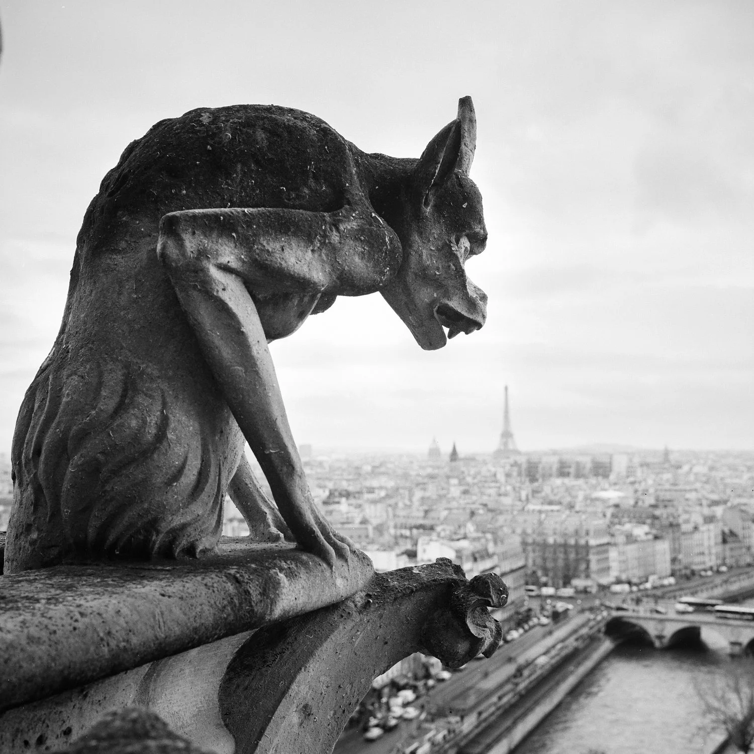 PAris1-10.jpg