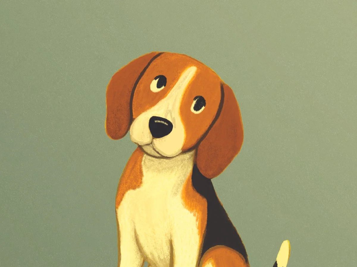 Penny the Beagle