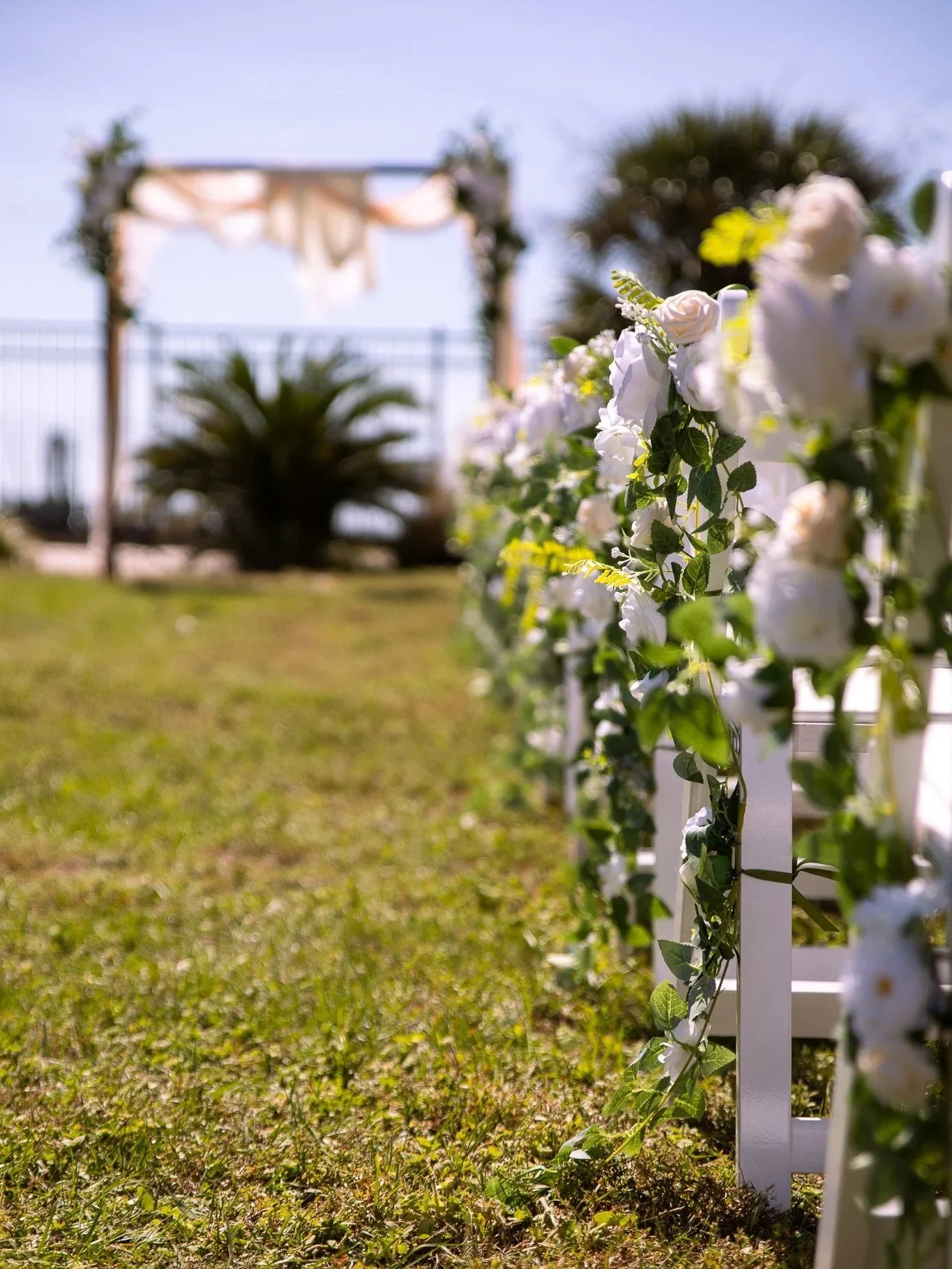 White flowers along a white picket fence with a trellis in the background, outdoors on a sunny day.