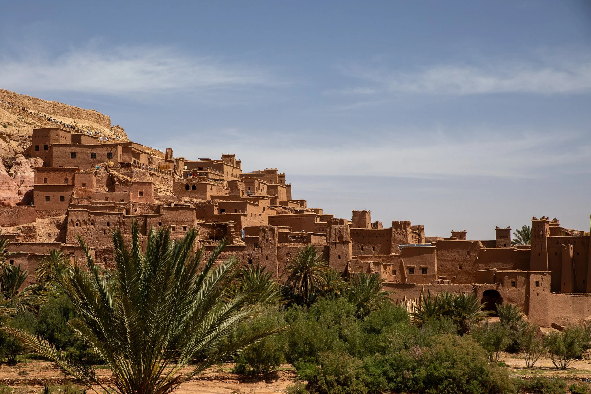 A desert village with traditional adobe buildings on a hillside, surrounded by lush green palm trees, under a blue sky with wispy clouds.