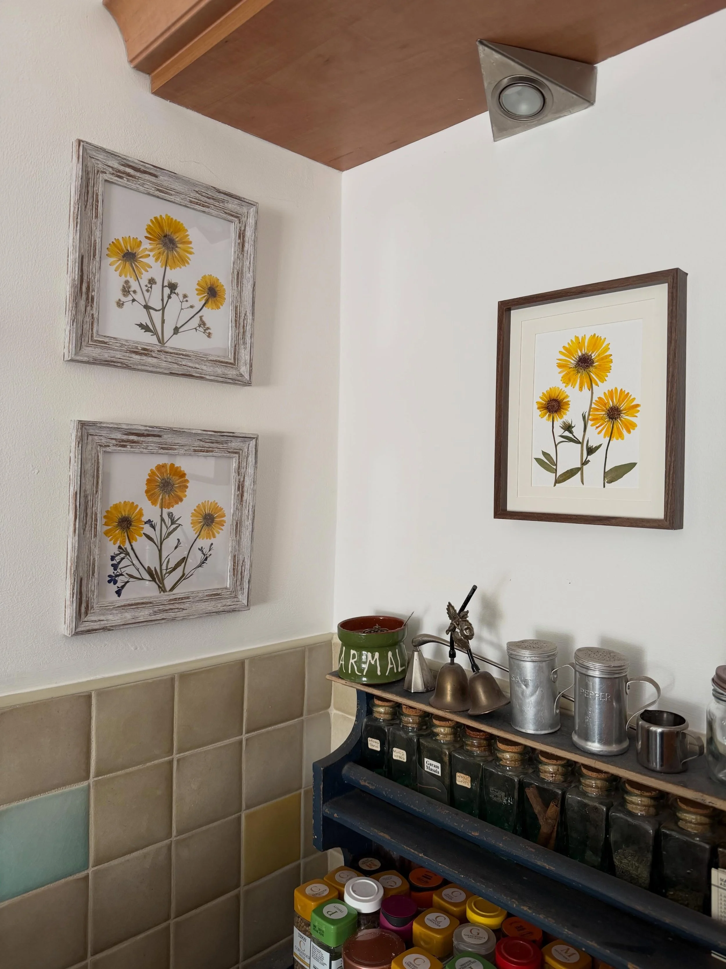 Pressed flower art works beautifully together in a set.

If you would like to purchase any of these pieces please DM me or you can buy them from my Etsy shop which is linked in my bio. 

If you have any questions or ideas for your own commission you&