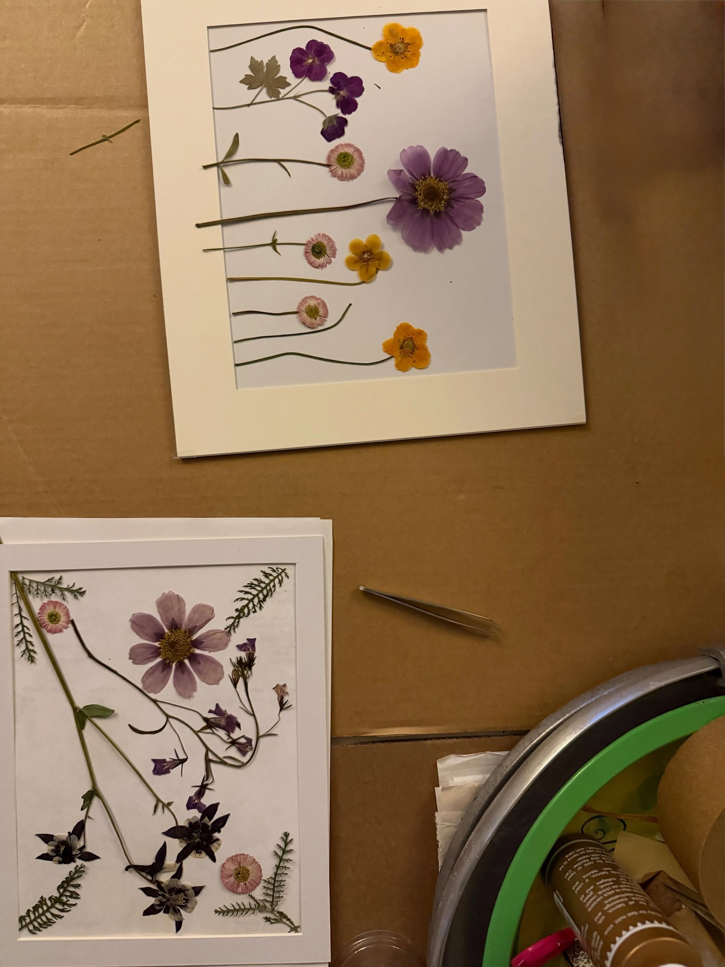 Some works in progress&hellip;🌸🌱🌼

#pressedflowers #pressedflowerart #flowerpressinguk #bouquetpreservation #pressedfloralcreations