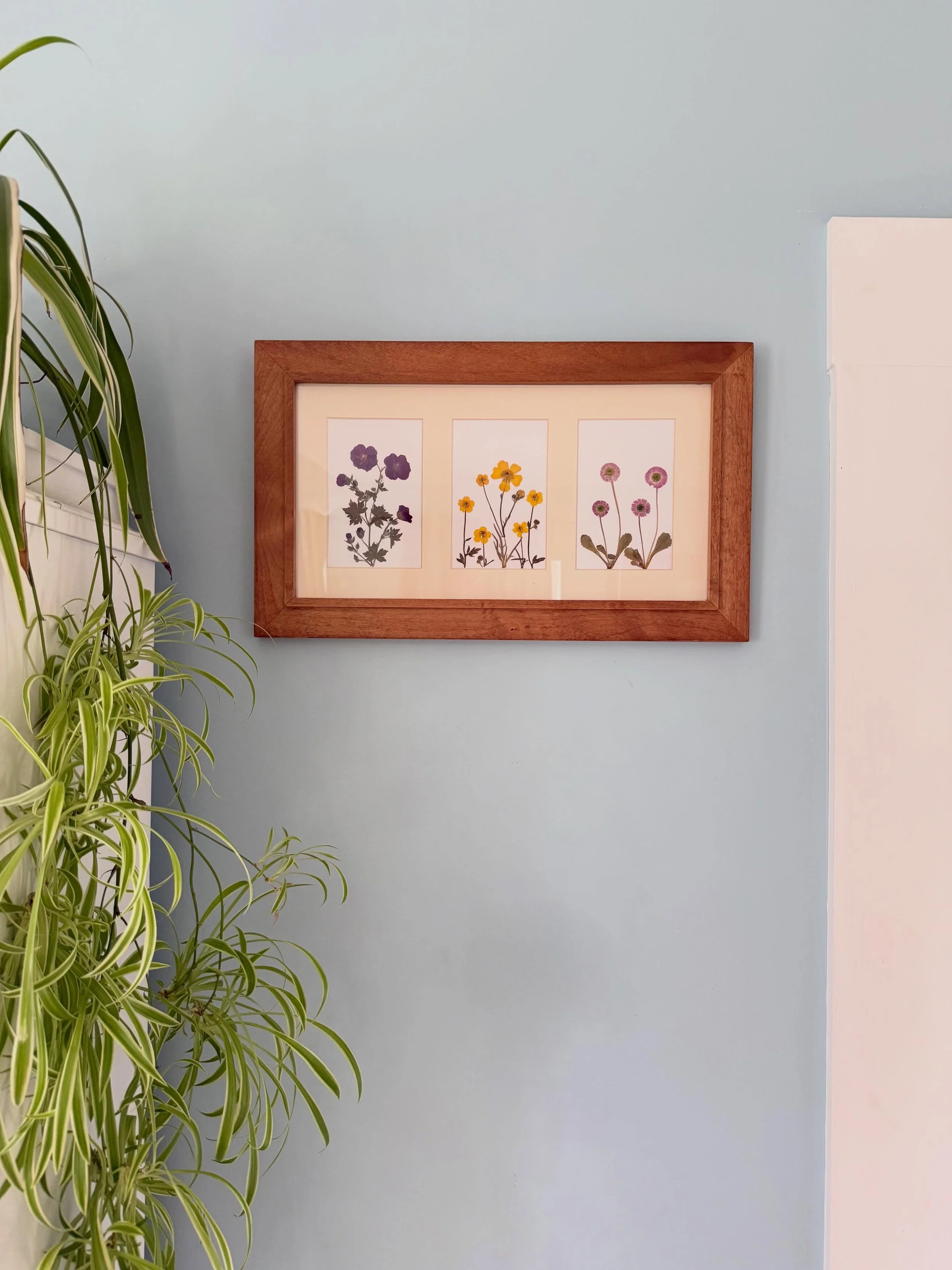 Garden Flowers || Handmade Pressed Real Flower Art Piece || Available to Purchase, just DM. 

Price- &pound;39.00 (including postage) 
Dimensions- 18.25 x 11 inches

Pressed Flower Art Frame made using an array of real Geranium, Buttercup and Daisy f