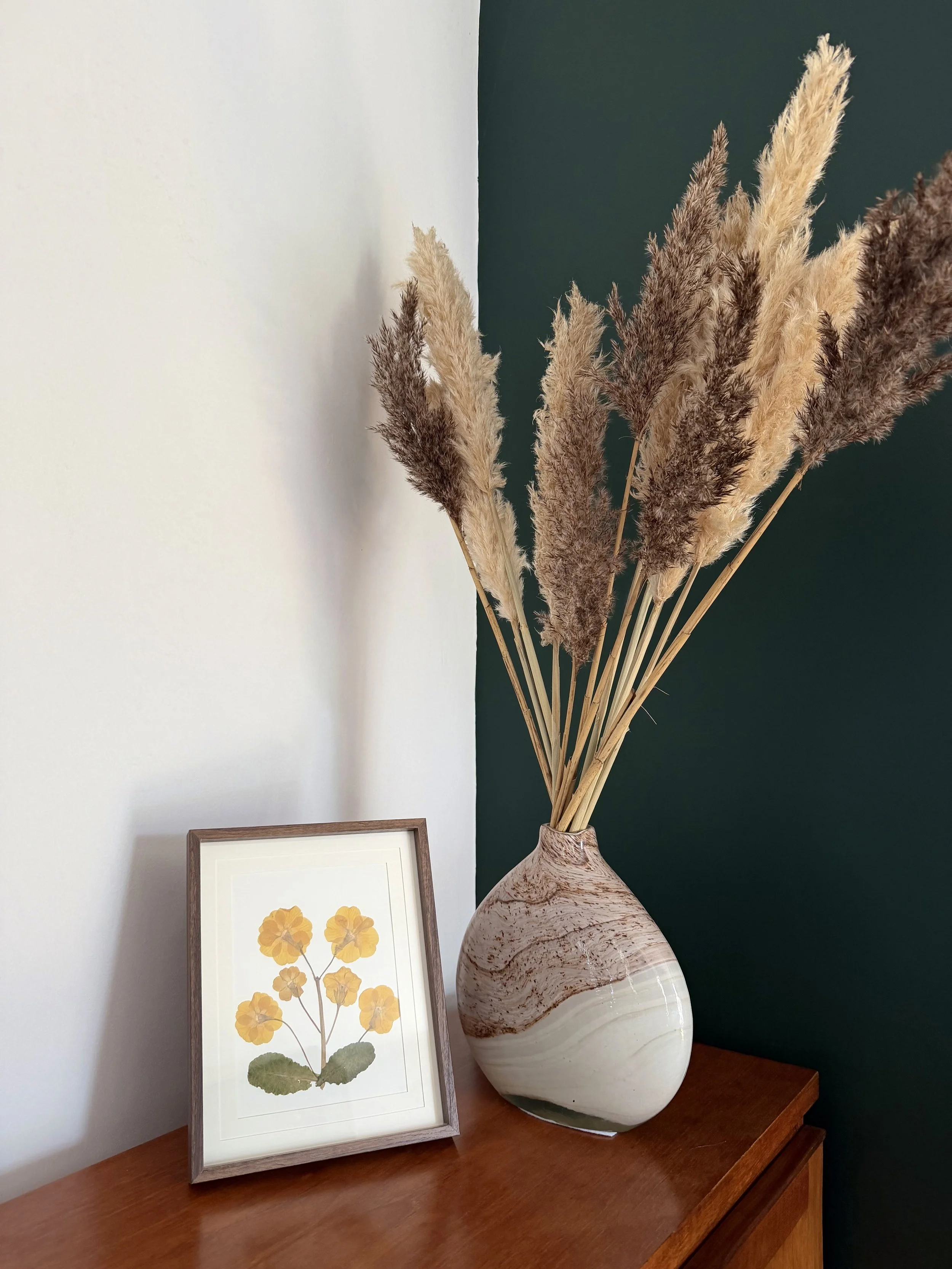 Yellow Primrose Pressed Flower Art