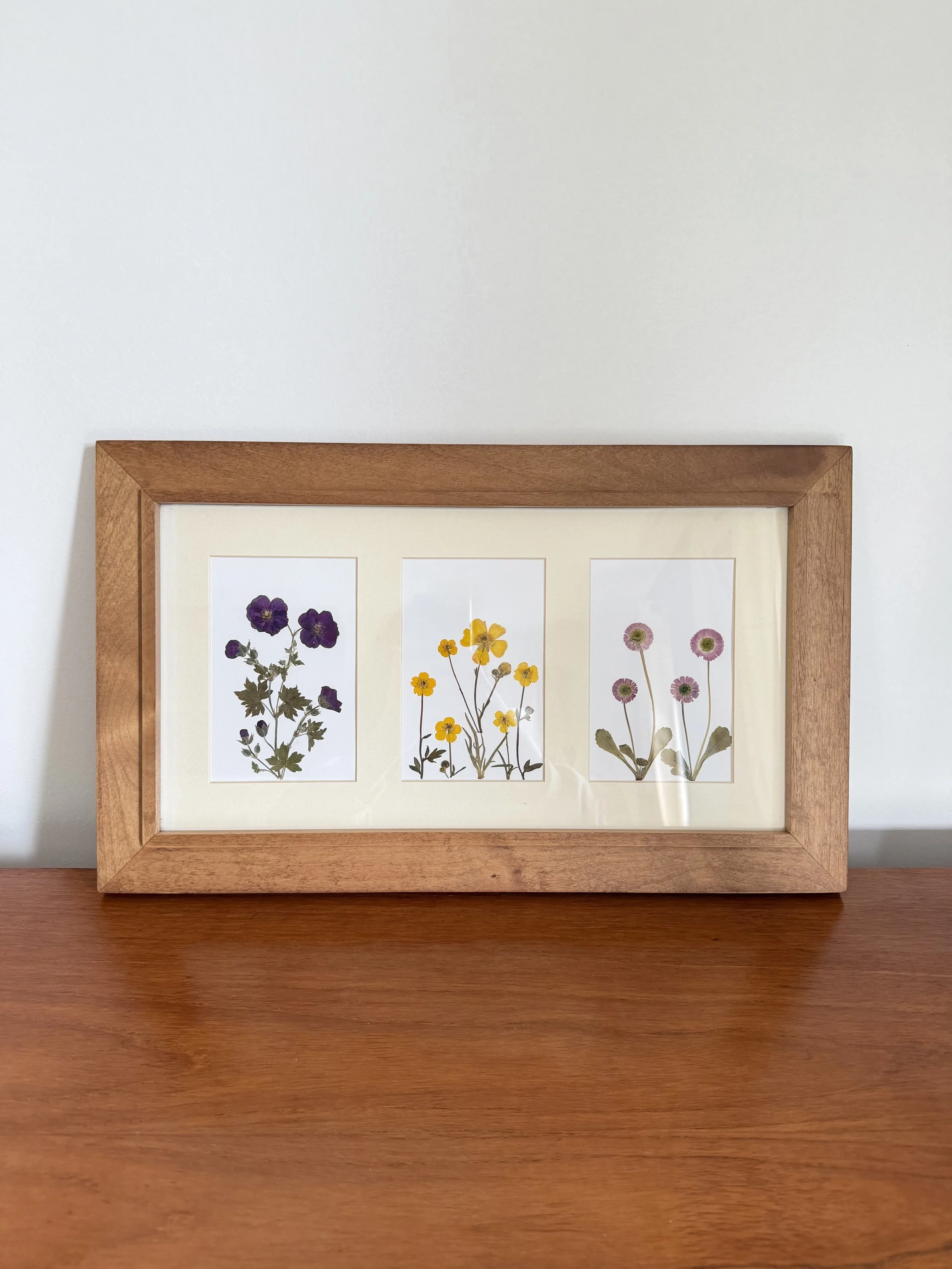 Buttercups, Daisies & Geraniums Pressed Flower Art