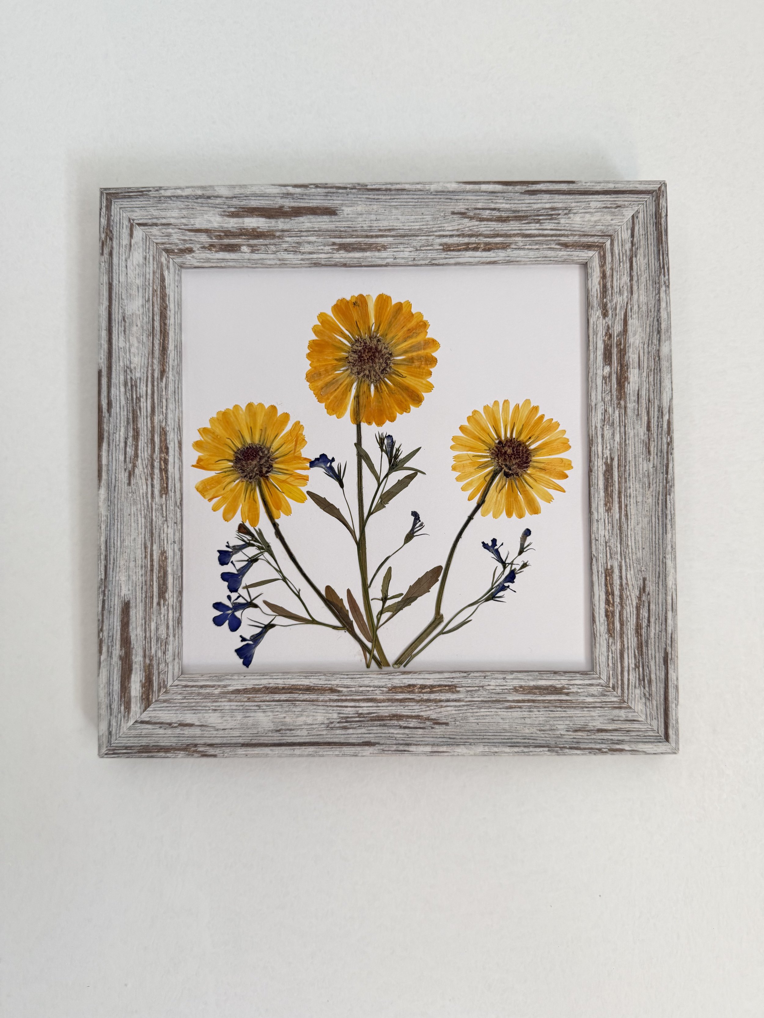 Calendula & Purple Lobelia Pressed Flower Art