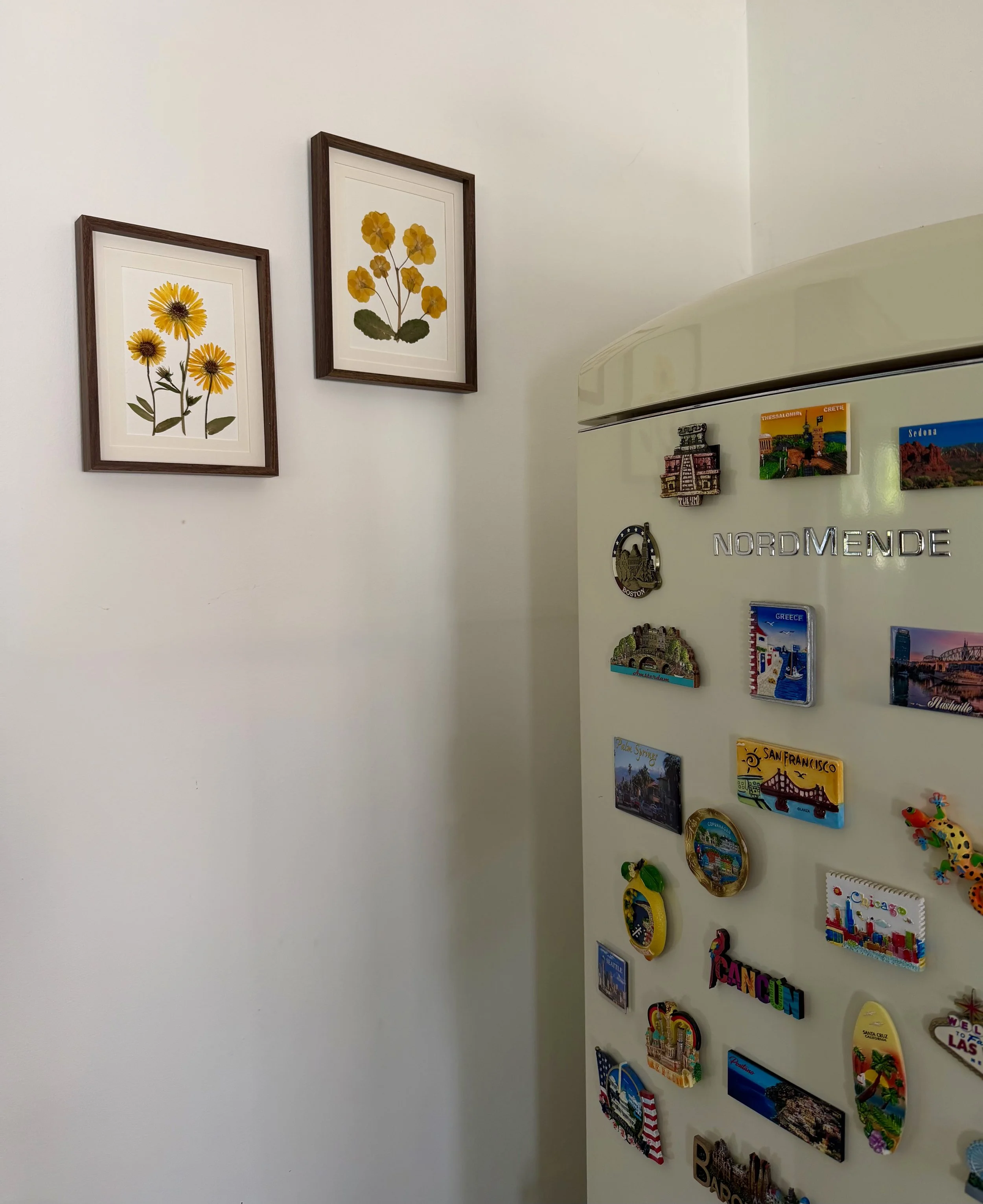 Two framed botanical illustrations of yellow flowers hang on a white wall. To the right, a refrigerator covered with colorful magnets of various landmarks and locations, including Sedona, San Francisco, and Cancun, is partially visible.