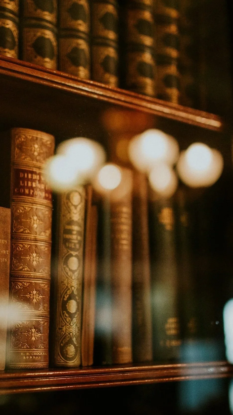 Close-up of antique leather-bound books on a bookshelf, with warm lighting and a blurred background.