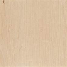 Maple