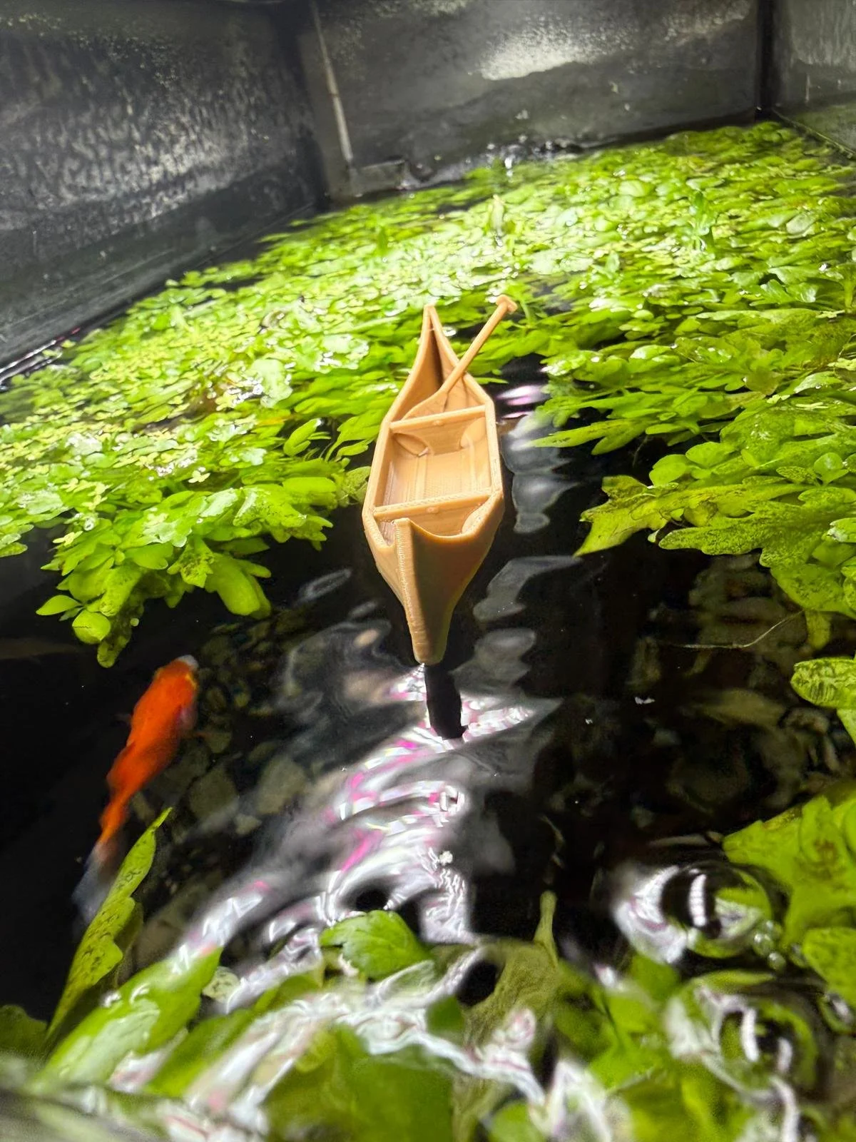 Brown kayak will.jpeg