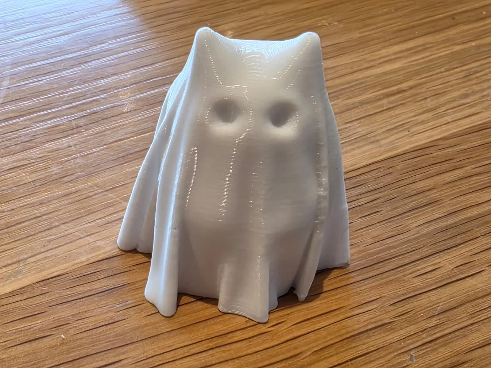 White ghost cat.jpeg
