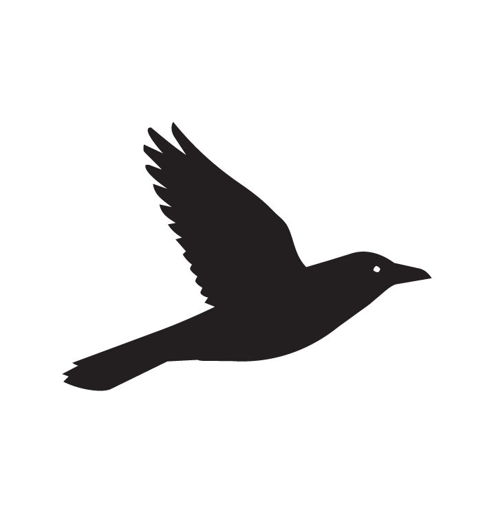 Smartbird Icon
